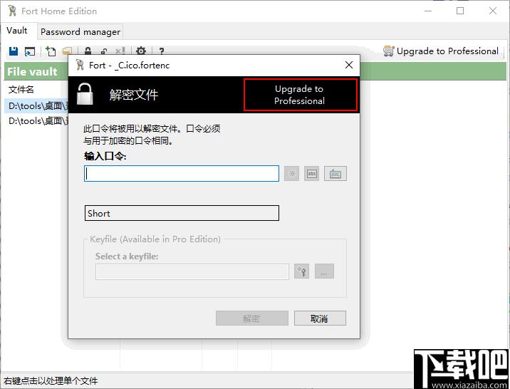 Fort Home Edition下载,文件加密,加密工具