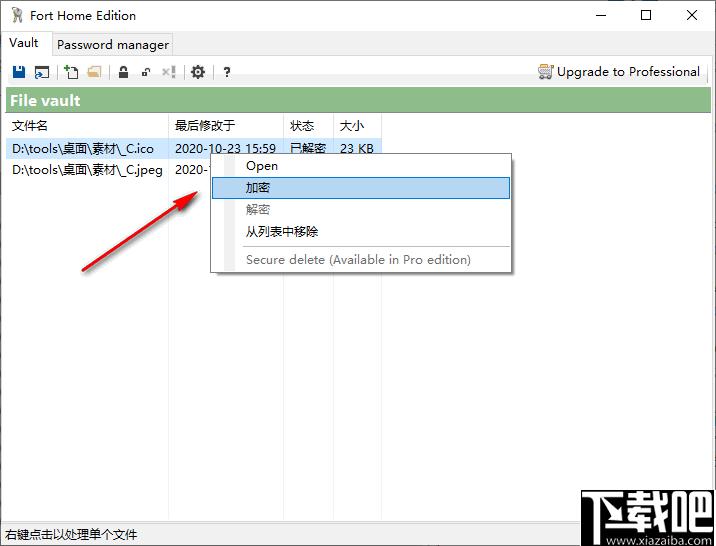 Fort Home Edition下载,文件加密,加密工具
