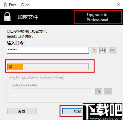 Fort Home Edition下载,文件加密,加密工具